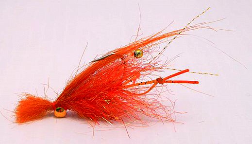 Flats Mc'Nasty (Drew Chicone)