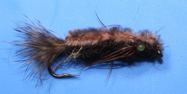 Fuzzy Dragon~by Tony Muncy