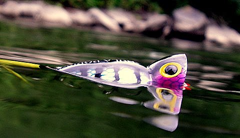 Did You Hear Something? by Tony Muncy