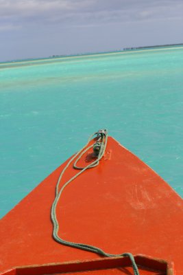 Christmas Island Blue