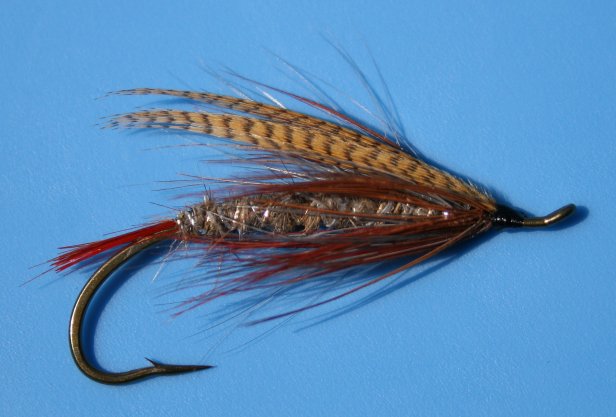 Lady Caroline (Summer Temptress)