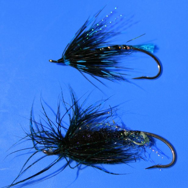 Train Wreck~Before & After