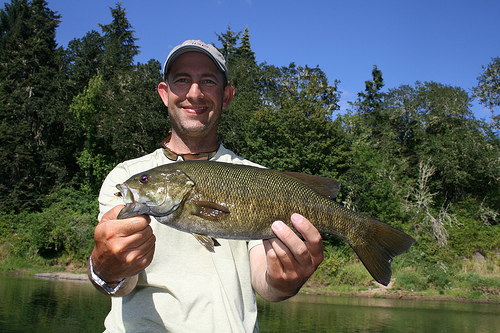 Smallie~Umpqua R. (OFFB)
