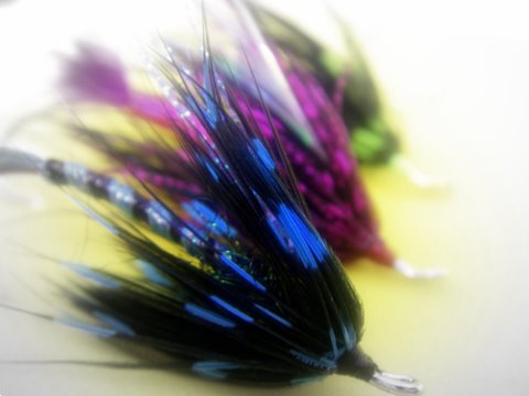 Pregressive Discipline~by Tony Muncy