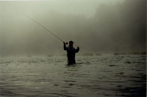 Umpqua River for Steelhead