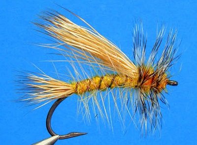 Stimulator~Traveling Sedge Pattern