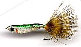 C. Edghill Minnow (GFF Archive)