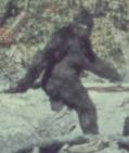 Bigfoot Found in Georgia (Dead)
