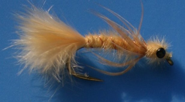 Georgi's Damsel (B.C. Highland's Inspired)