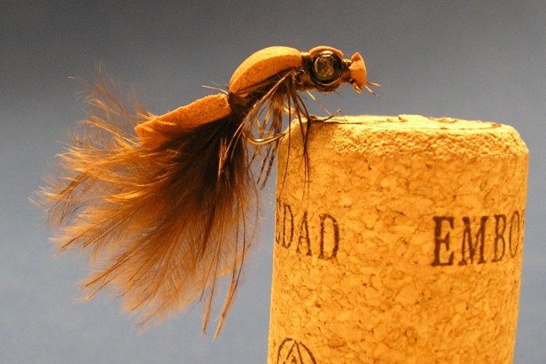 Damsel by Carpoholic