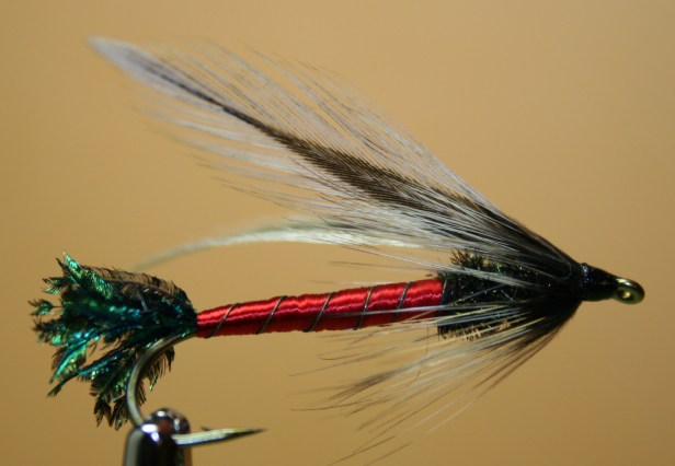 Spruce Fly~Tony Muncy