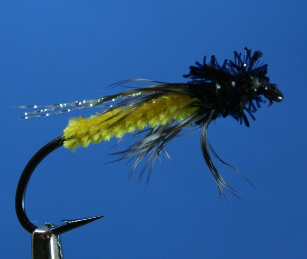 Yellow Caddis