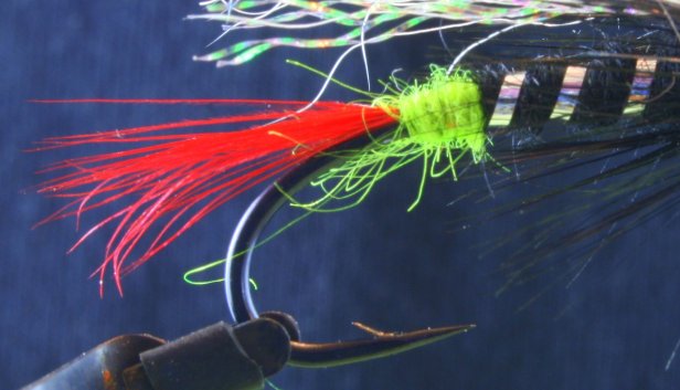 Junk in the Trunk on the Skunk