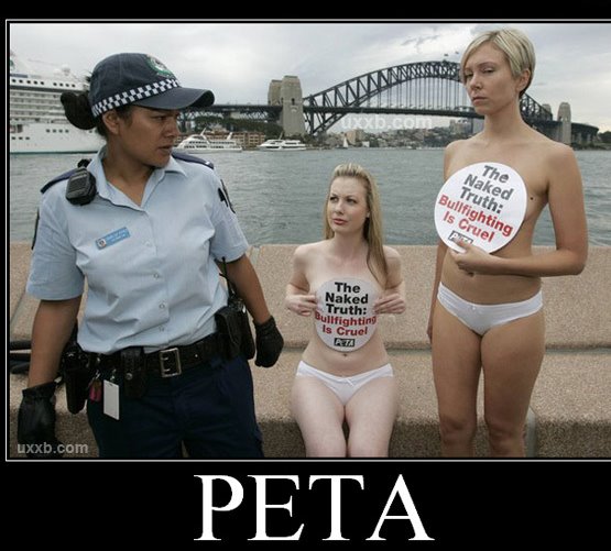 No Clothes is for Anti-Fur, Not Anti-Bullfighting