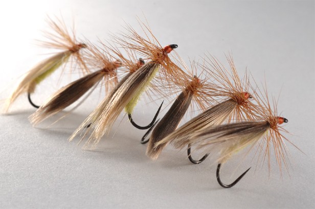 12 Romanian Low Water Caddis