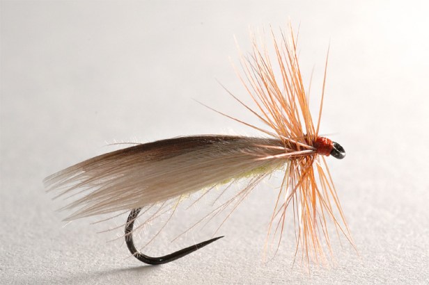 7 Low Water Caddis-Wing Still Untreated