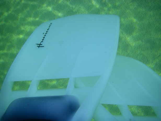 Time To Ponder Your Fins