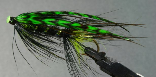 Green With Envy~McCrary