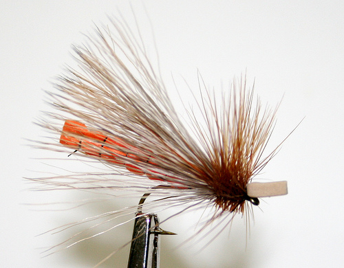 Morrish Caddis~OFFB