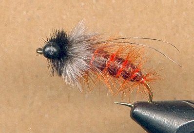 october-caddis-pupa October Caddis Pupa