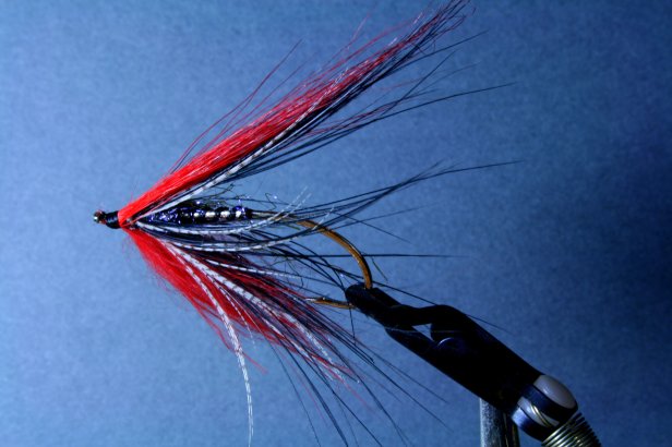 Spey Fly~T. Muncy
