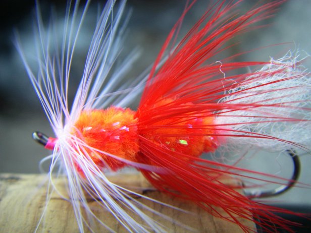 Tony's Babine Special~T. Muncy