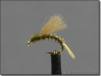 RS2~BWO Emerger
