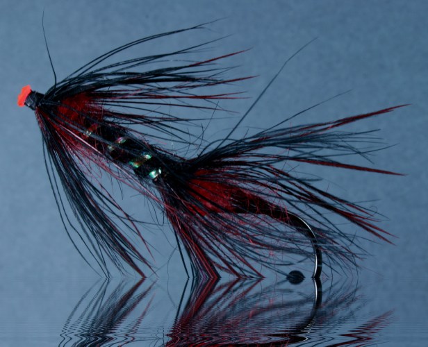 Reflection by T. Muncy, 2008