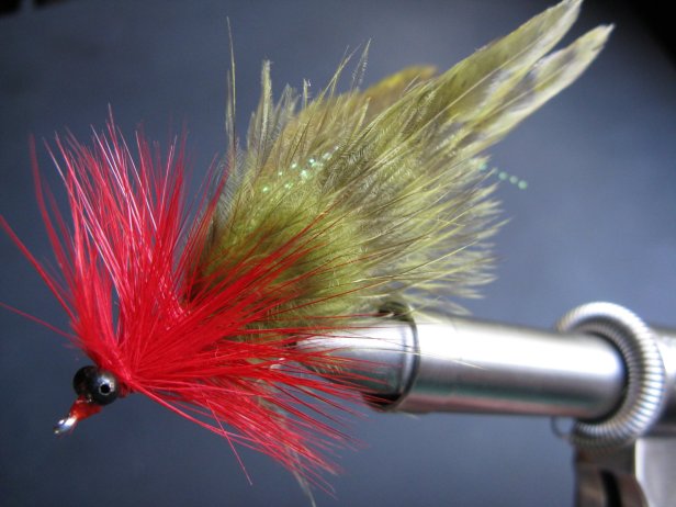 SeaducerX~Luciano Chavez