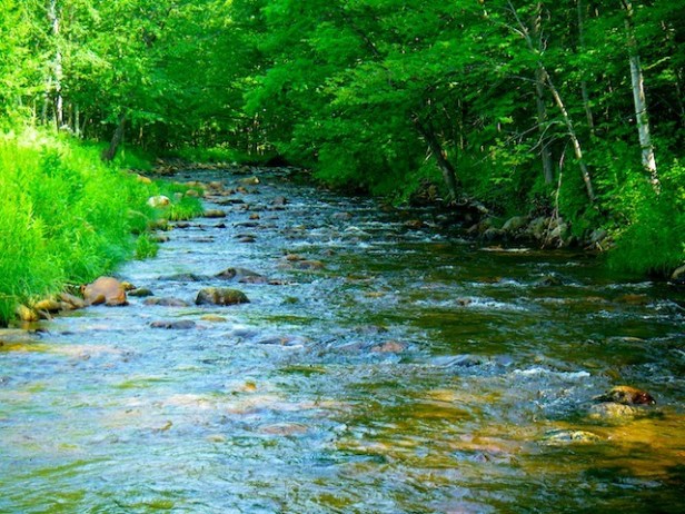 small-stream A Treasure