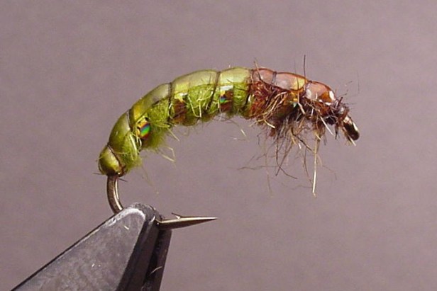 Green Czech Nymph