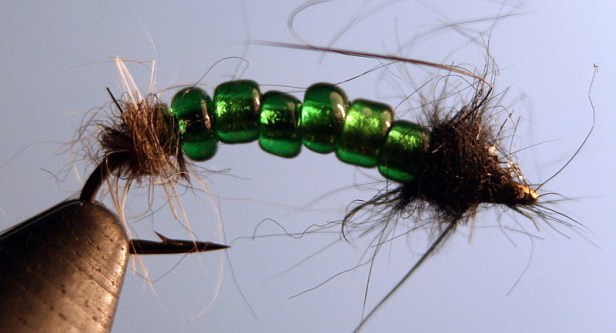 E.B. Caddis~Justin Carroll