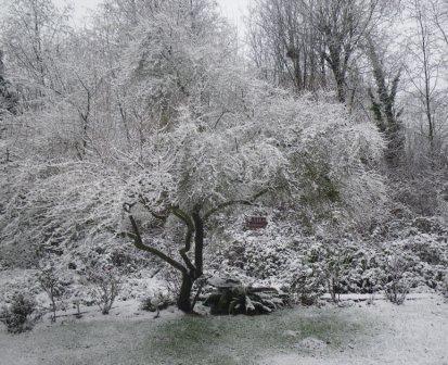 Dusting of Snow=News Room Chaos 