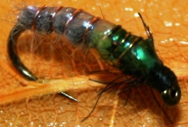 Kudra Nymph~All Purpose 