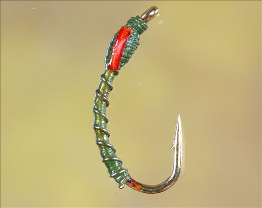 Olive & Gold Buzzer (fish4flies)