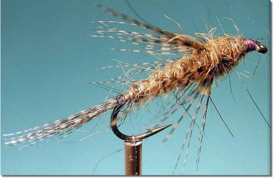 Bird's Nest Nymph~Cal Bird Pattern