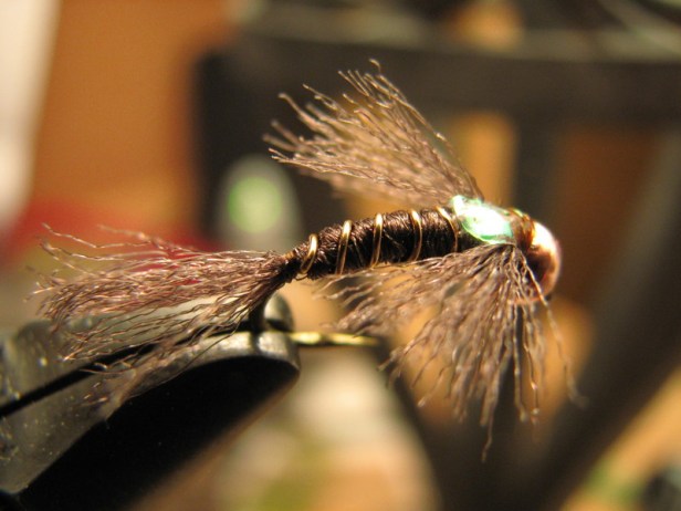 brn-antron-special Another Version