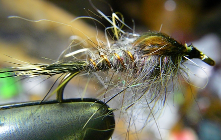 Copper Hares Ear~Jean-Paul Lipton