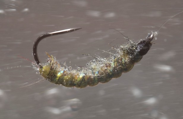 Drifting Czech Nymph