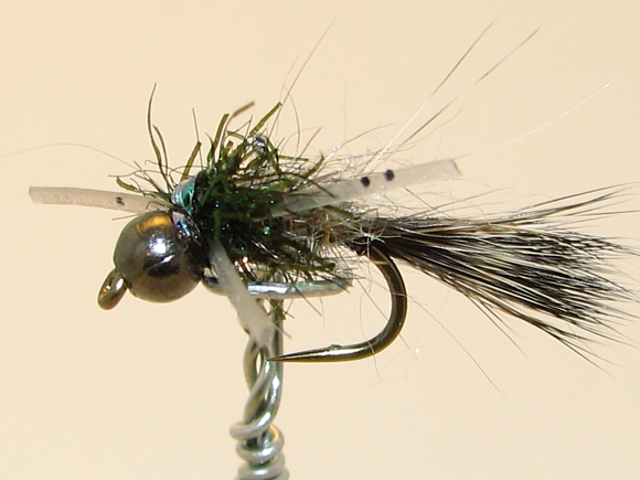 Light Box Photo of Fly