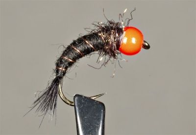 Orange Beaded Pupa~Lucien Vasies