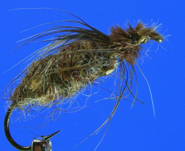 Dragon Nymph~G. Muncy