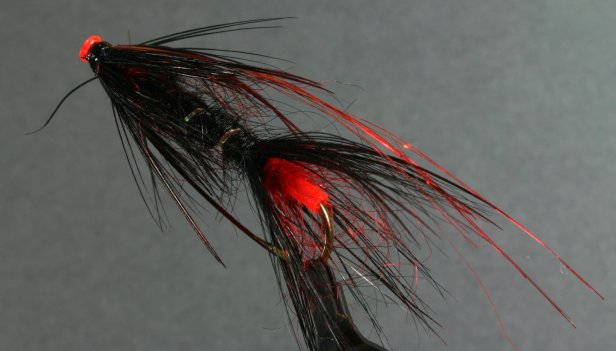 img_9030a Matt McCrary's Magic