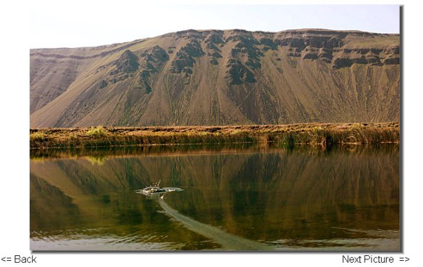 Lenice Lake, Washington