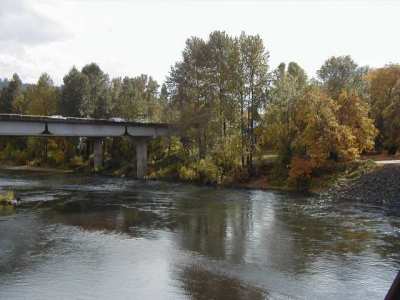 mckenzieriver1