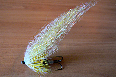 The Contemporary Wing of a Spey Fly