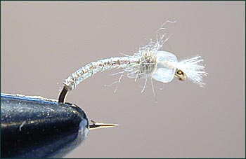 phantom-midge Phantom Midge~Jeff Morgan