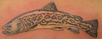 trout-m-tattoo-chris-harrison