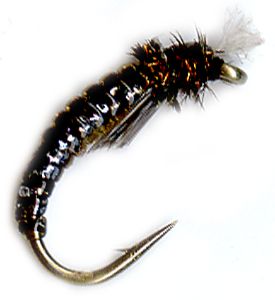 Chromy Chironomid