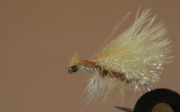 Long Horn CDC Caddis